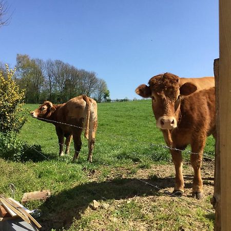 Vakantiewoning Kleijnen Noorbeek Eksteriør billede